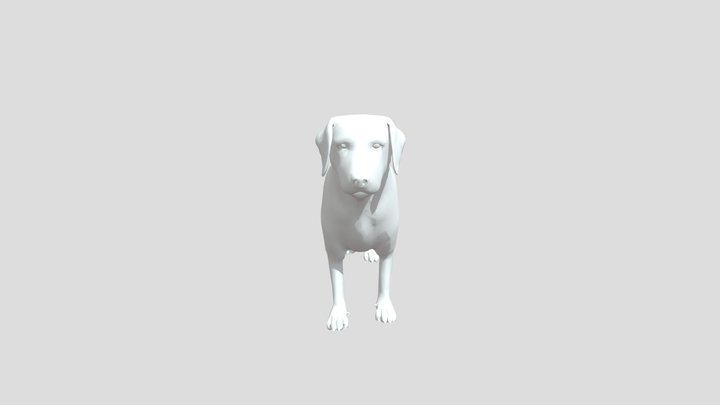 Dynamic 3D Model 10 3D Model