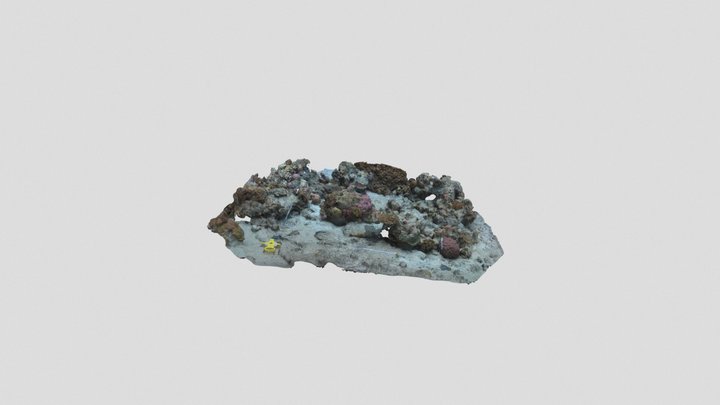 2 x 2 Quadrant Still Frames. 3D Model