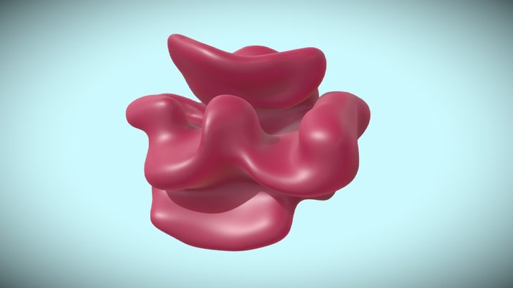 Reticulocyte 3D Model