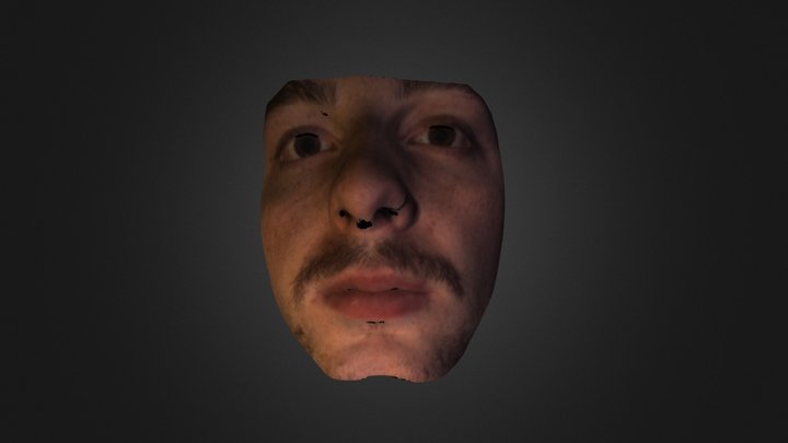 OBJ 3D Model