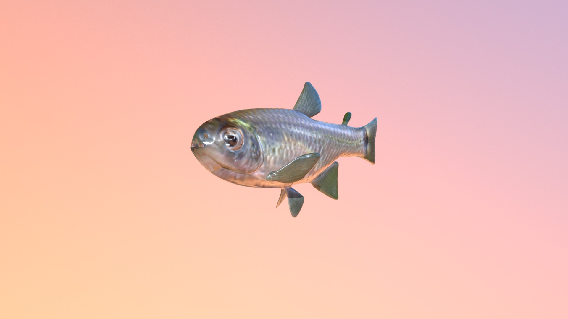 3D model Cheirodon fish - This is a 3D model of the Cheirodon fish. The 3D model is about a fish in the water.