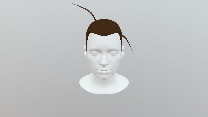 PAULINE COULEURS 3D Model