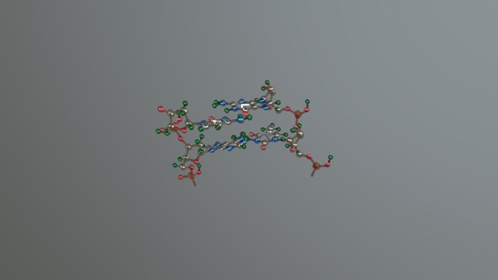 dna 3D Model