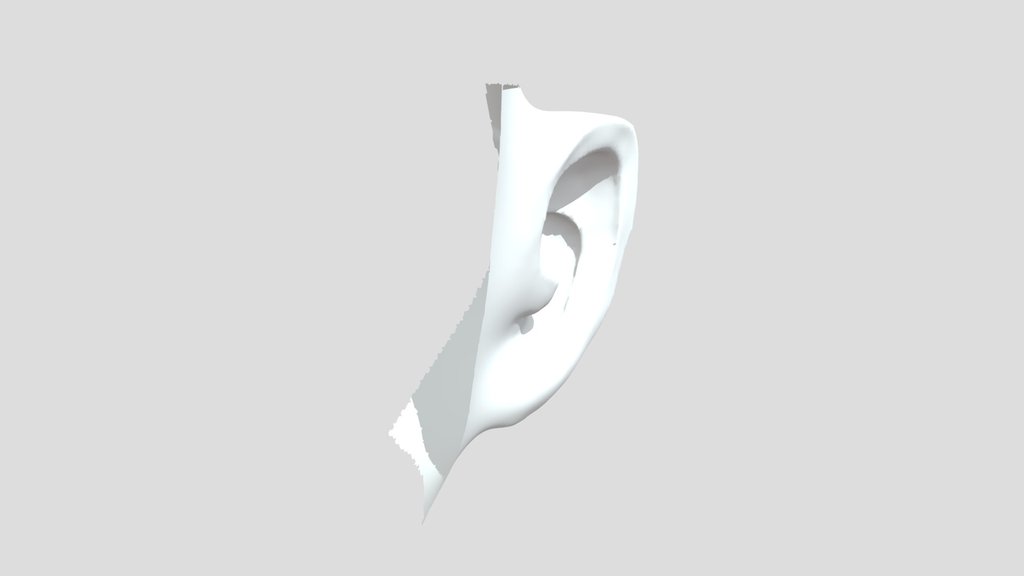 3D Cartoon Ear