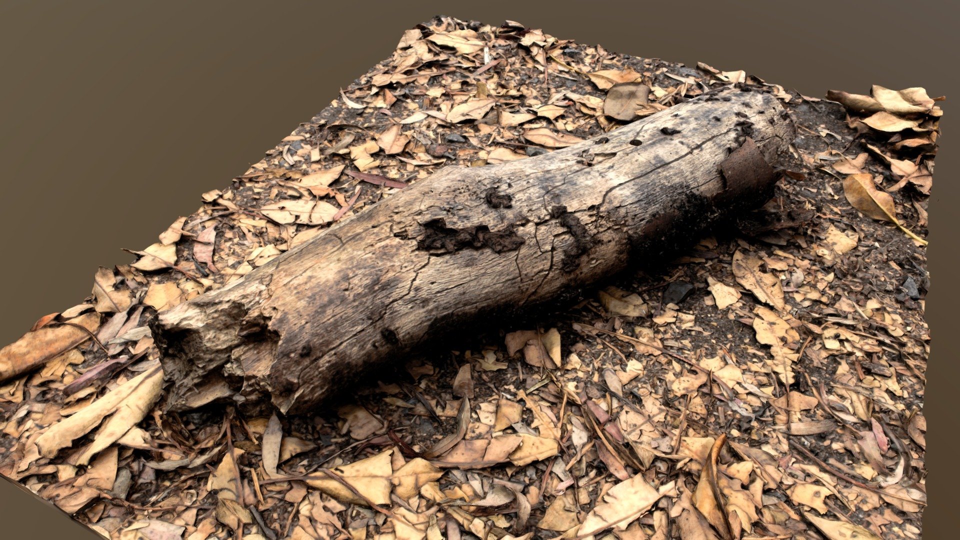 Log Study - Photogrammetry - 3D model by R_Pearce [eee48bd] - Sketchfab