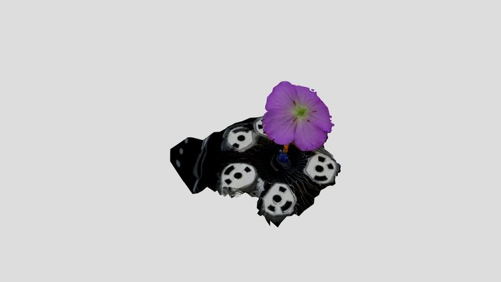 Test_15_far 3D Model