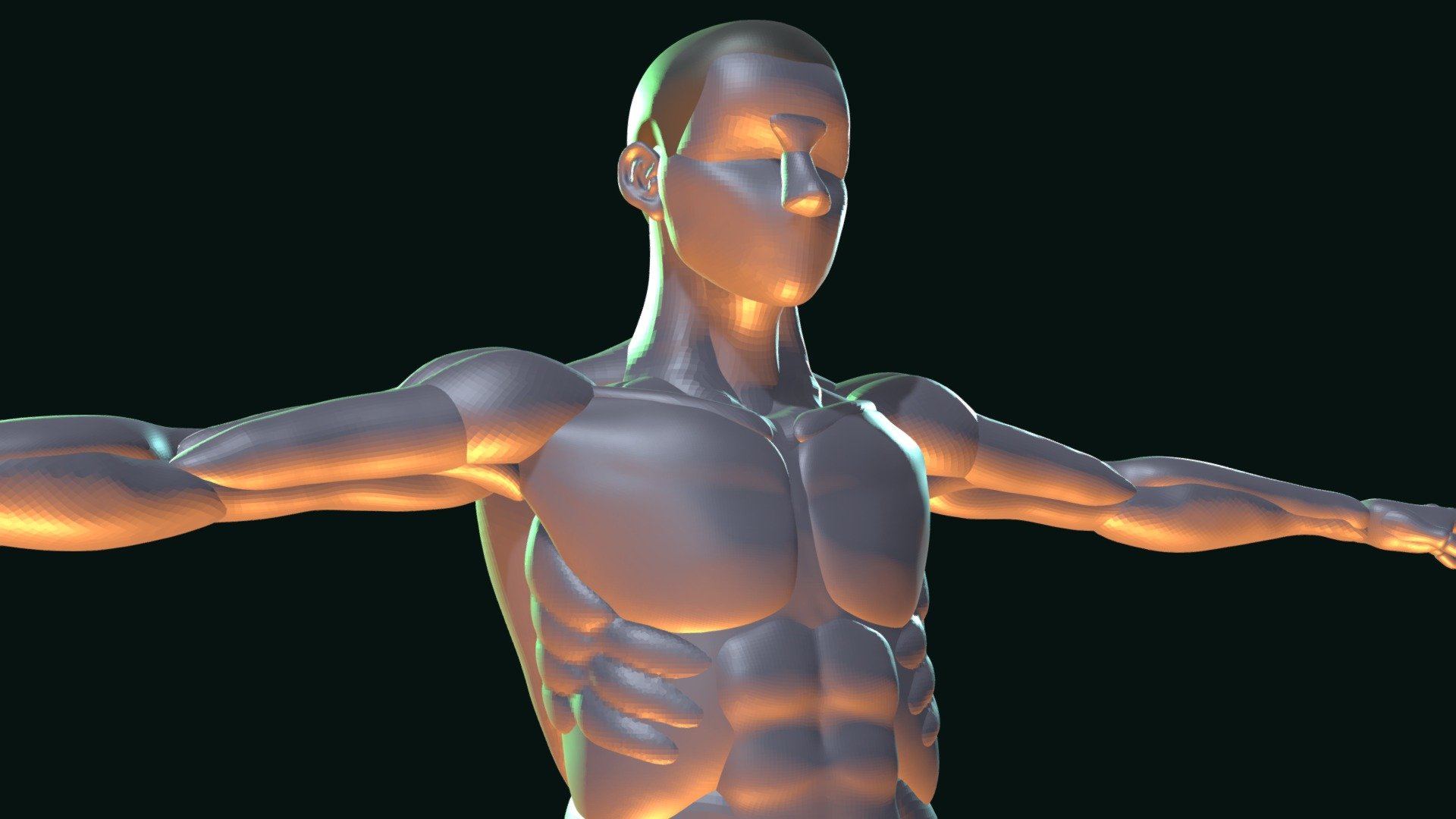 Man Anatomy T pose Download Free 3D Model By Nooxy eee65ca Sketchfab