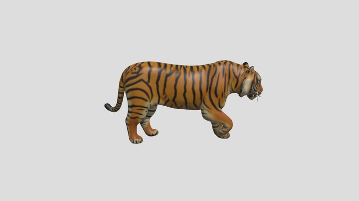 Tiger 3D Model