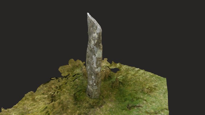 Standing stone - photos 3D Model