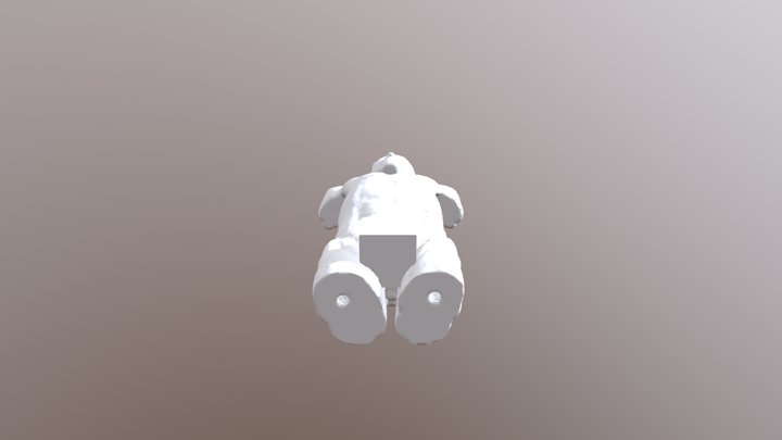 Real torso made from CT 3D Model
