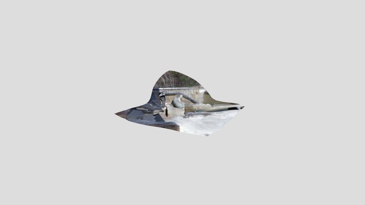 model1 3D Model