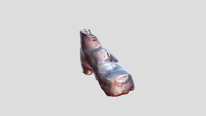19th Century Concealed Shoe - Esgid Gudd 3D Model