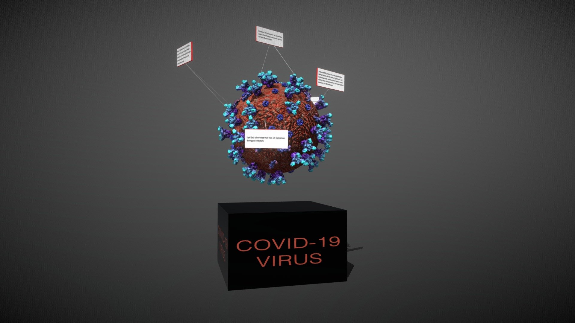COVID-19 with CDC Descriptions - 3D model by Owl Creek Technologies ...