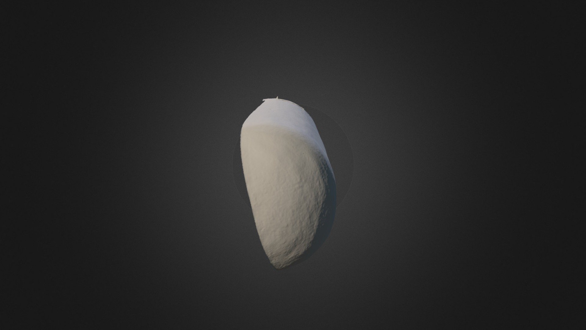 Nišos paviršiaus 3D modelis (kairė pusė)