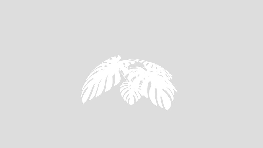 Stylized Monstera