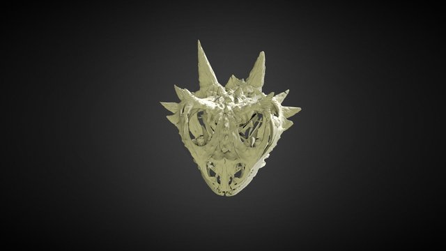 Texas Horned Lizard Head CT-Scan 3D Model