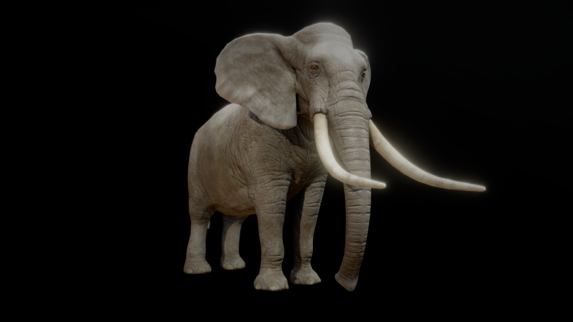 ELEPHANT ANIMATIONS - Buy Royalty Free 3D model by PROTOFACTOR, INC.  (@protofactor) [eefb25f]
