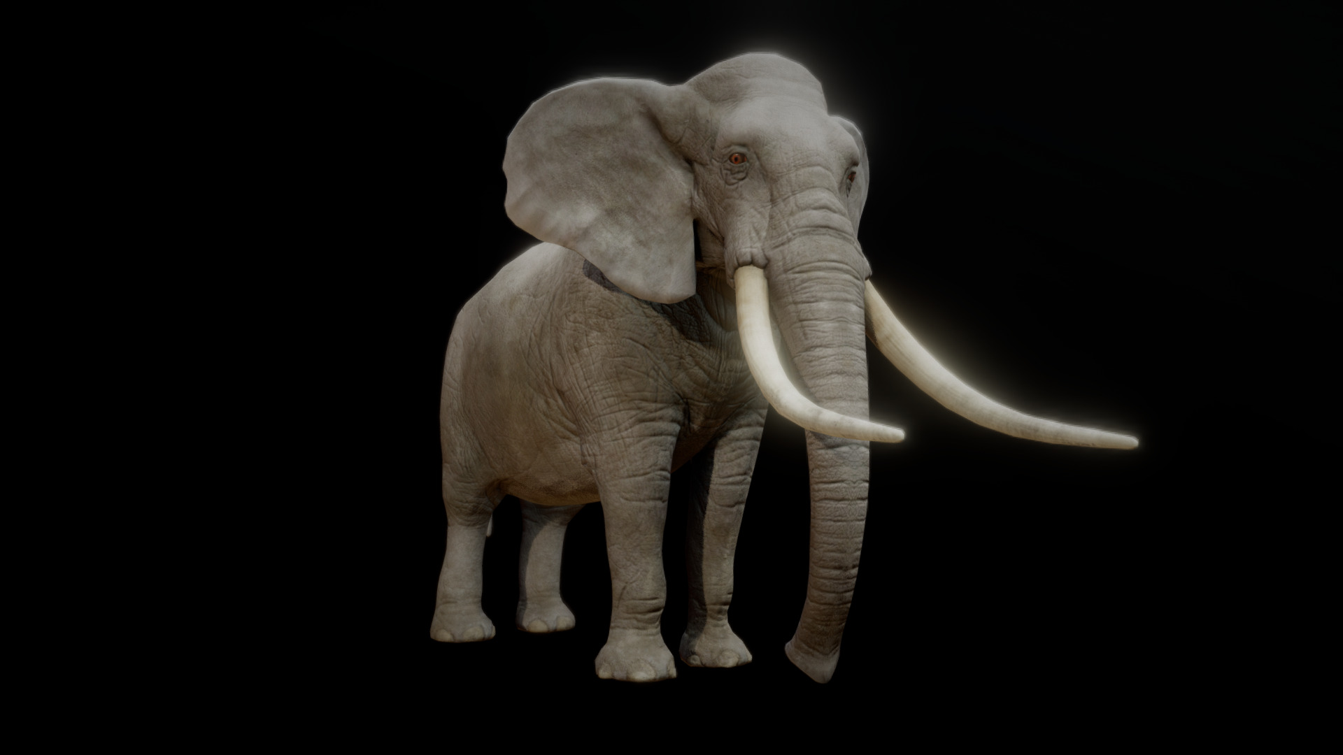 3D model ELEPHANT ANIMATIONS - This is a 3D model of the ELEPHANT ANIMATIONS. The 3D model is about a small elephant with tusks.