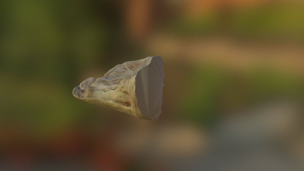 нога - Download Free 3D model by andrey67895 [eefb62f] - Sketchfab