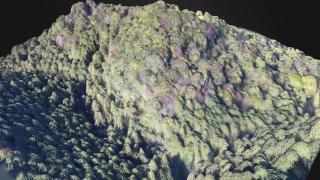 Chichibu (1/10) 3D Model
