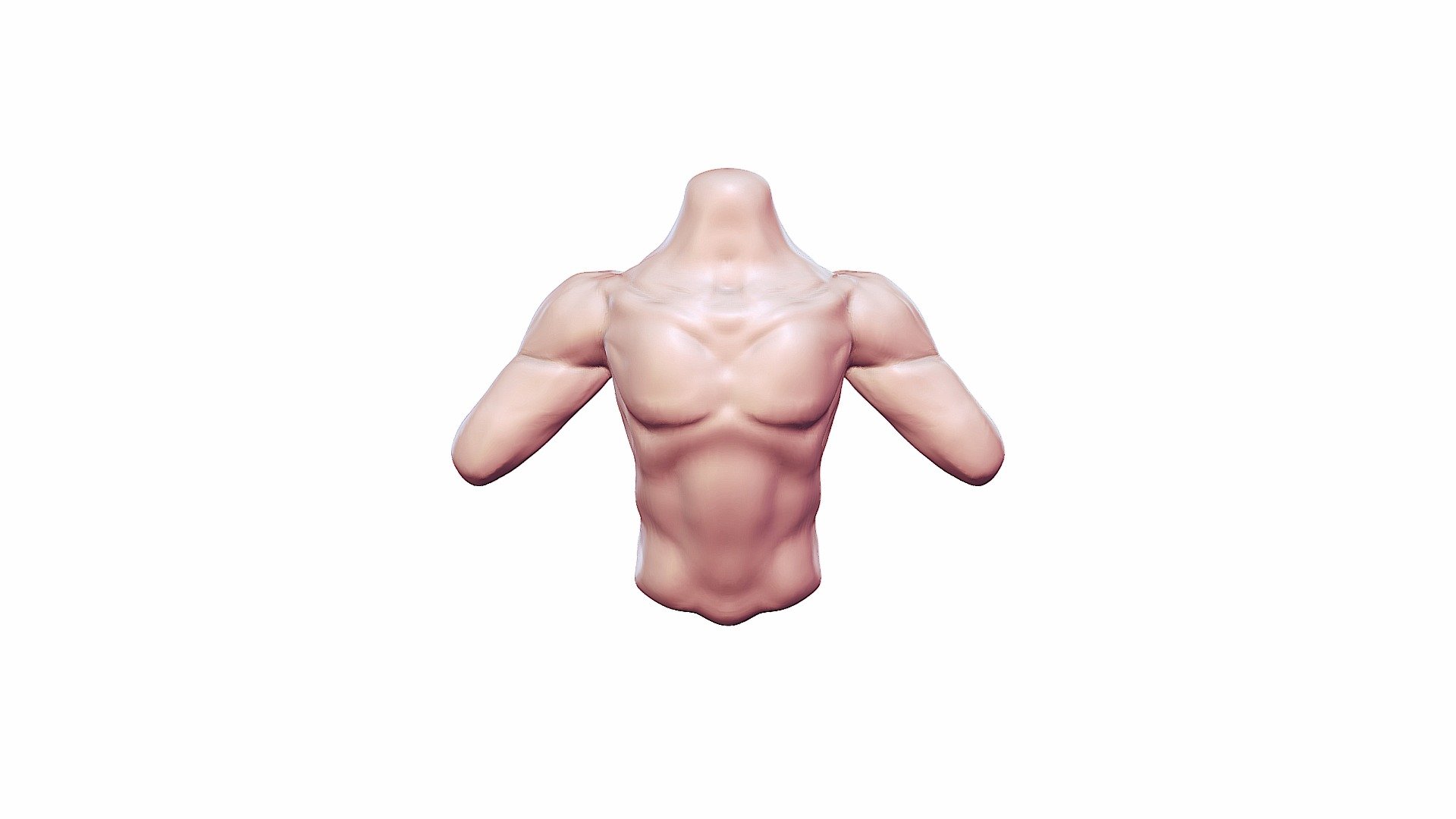 Arms and Torso