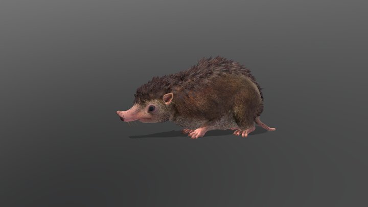 Cotw Wild Haggis (missing tail-fur) – Modello 3D gratuito STL