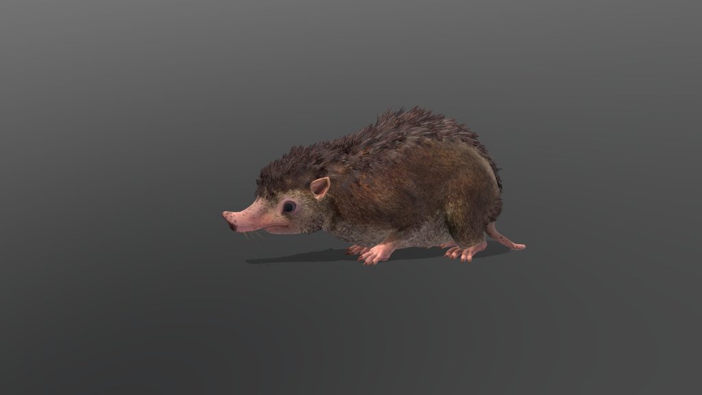 Cotw Wild Haggis (missing tail-fur)