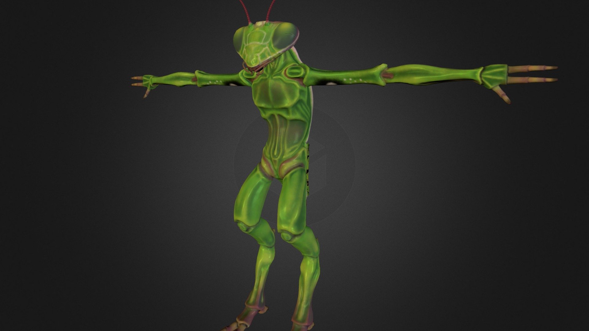 Mantis 3D Model By Kuntamaspal EeiyynD Sketchfab   E29e91c197f845249ec5dc320eaa1d8a 