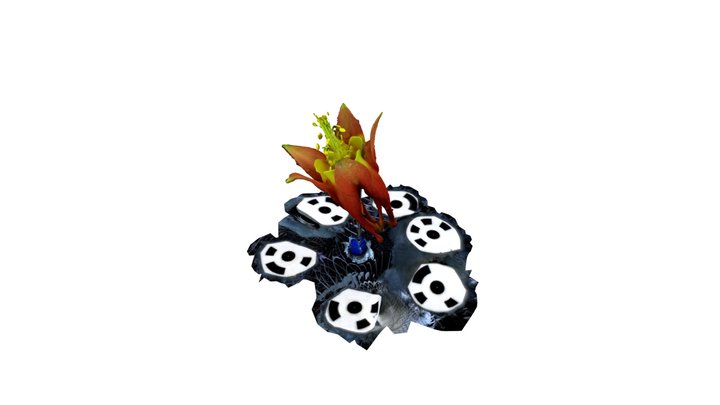 18-columbine 3D Model