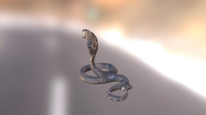 Snake 2 3D Model