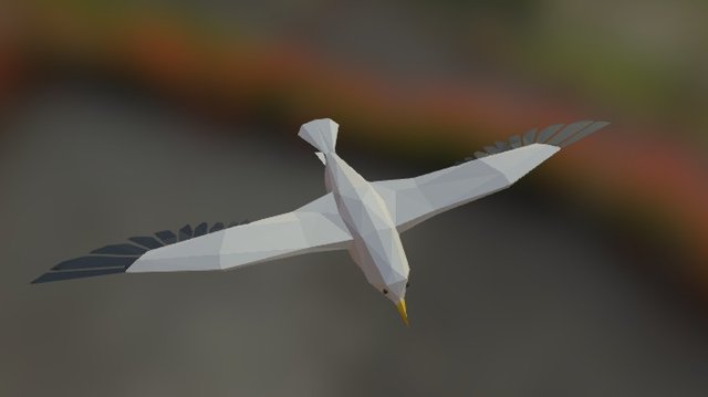 Seagull 3D Model