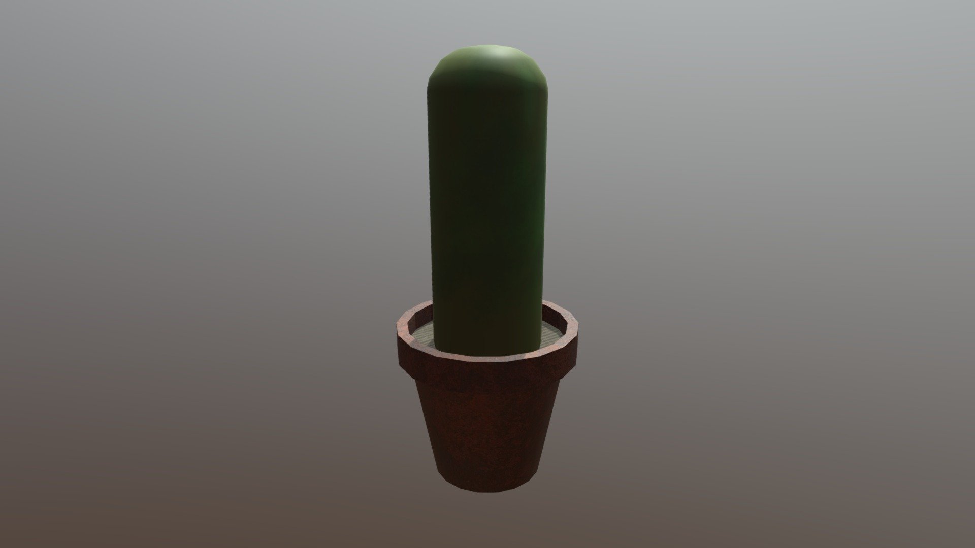 Cactus Grande