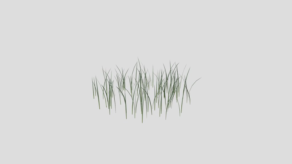 Small Grass Patch
