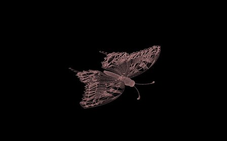 Butterfly 3D Model
