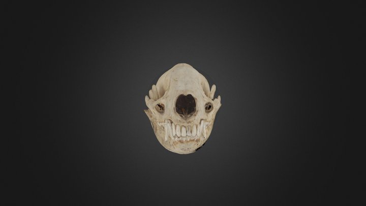 Ч10 3D Model