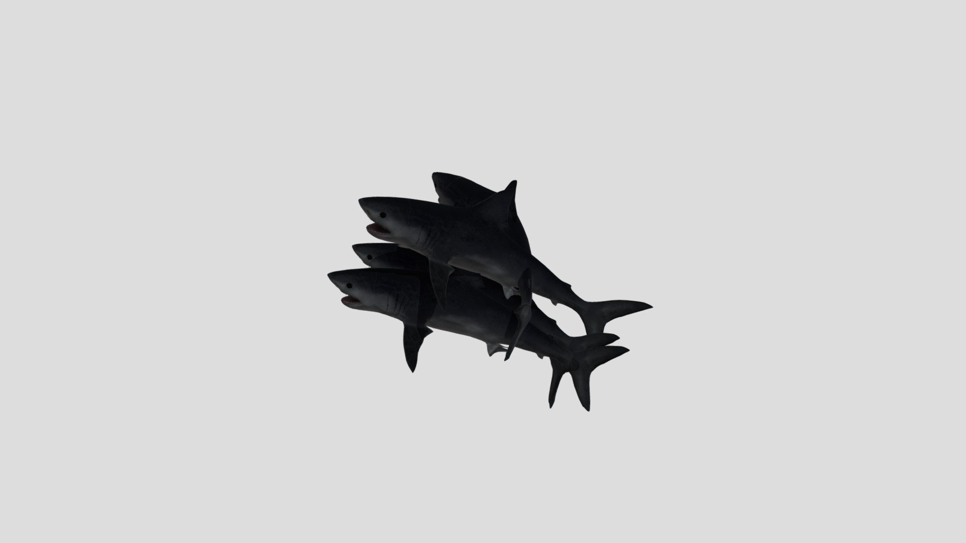 Shark Chaos