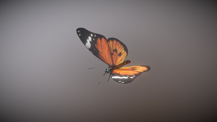 Animated Butterfly | Animated 3D Model – Modello 3D gratuito STL