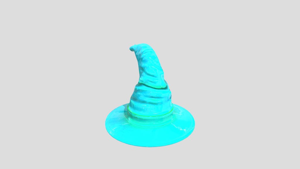 Halloween Witch Hat