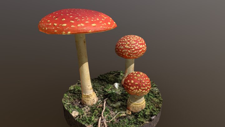 Mushroom_9 (fly agaric) 3D Model