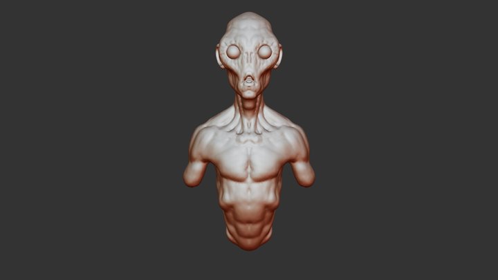 Sculptris - Humanoid torso 3D Model