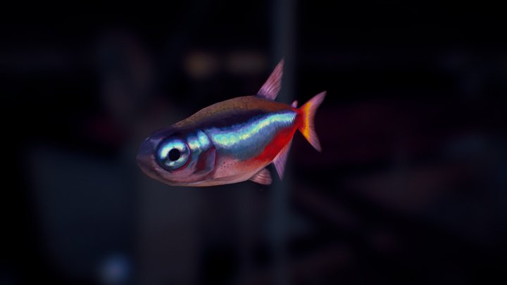 Neon Tetra 3D Model