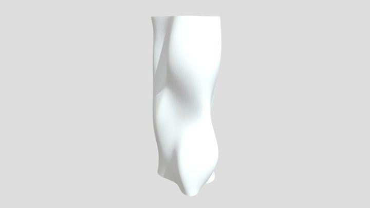 TCT Column 3D Model