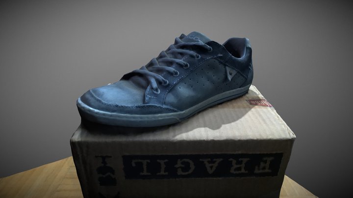 3d scanned shoe 3D Model