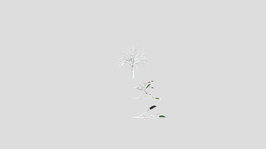 Cherry Blossom Tree Leaves