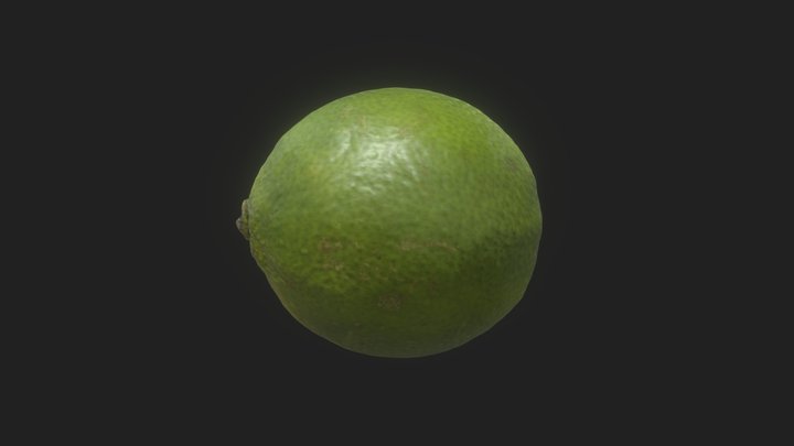 Lime 3D Model
