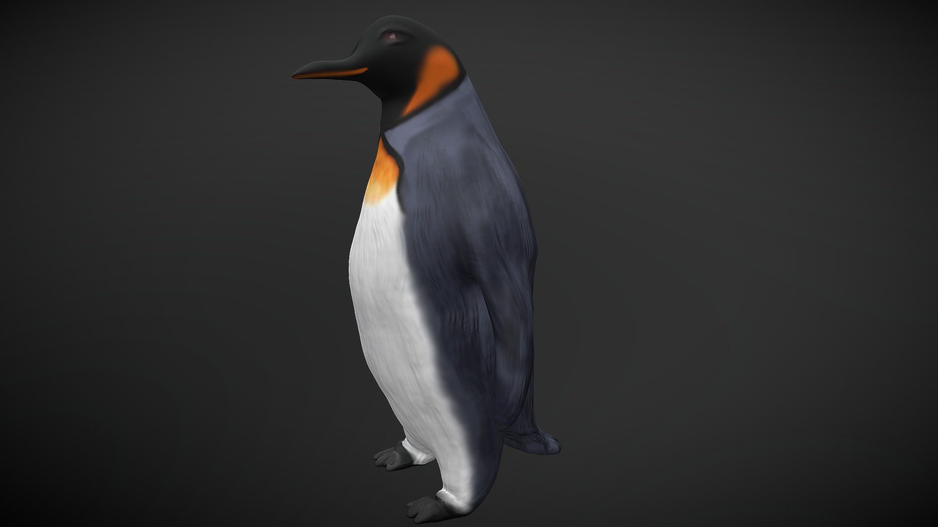 King Penguin