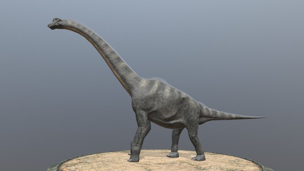 brachiosaurus 3d view