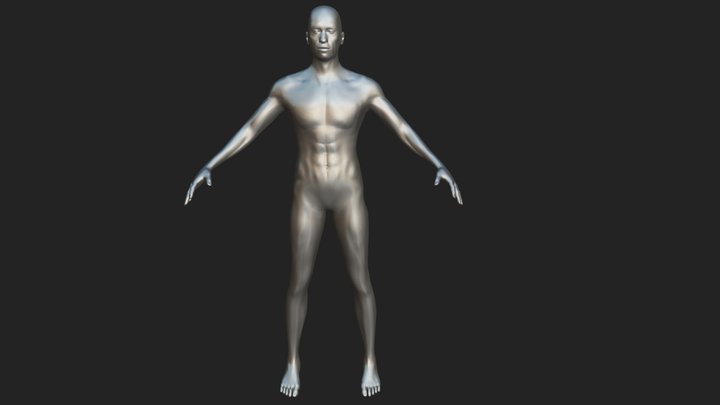 male base mesh 3D Model