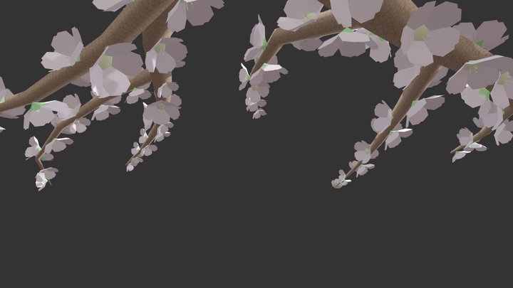 Cherry4 3D Model