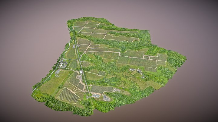Hecate Energy 425+ Acre Solar Farm, Coeymans NY 3D Model